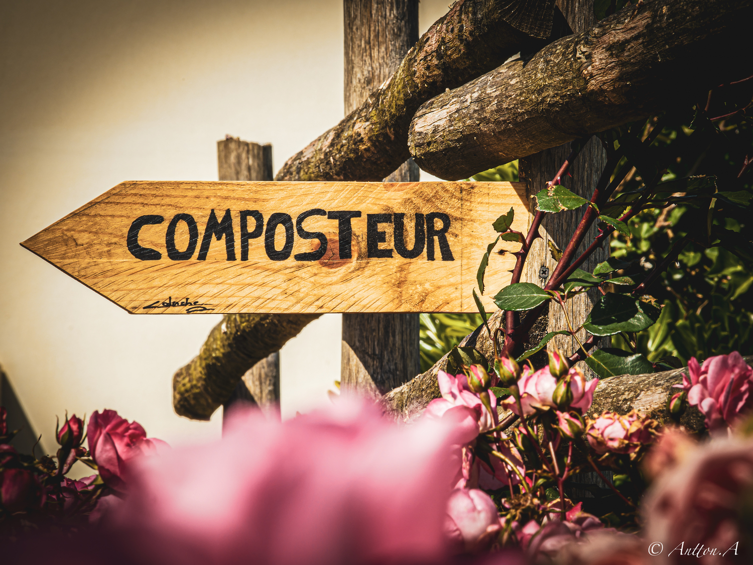 actions en faveur de l'environnement