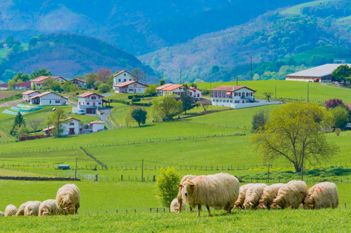 espelette pays basque