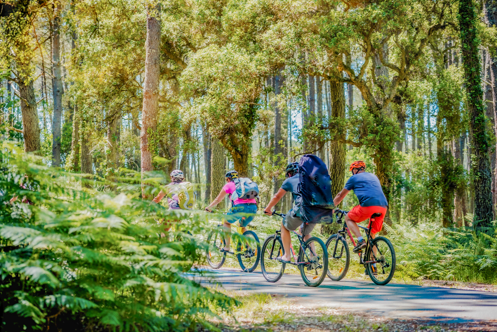 foret du pignada anglet