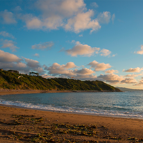plage lafitenia